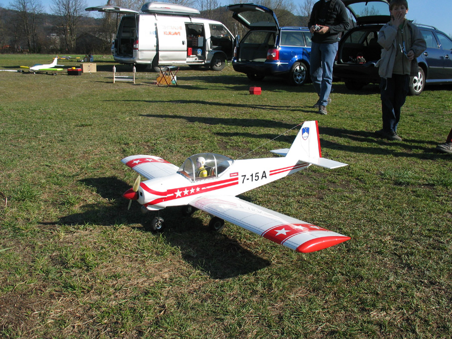 Kittiwake0018