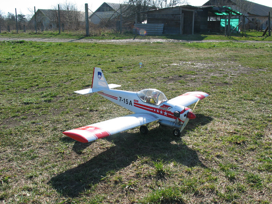 Kittiwake0019