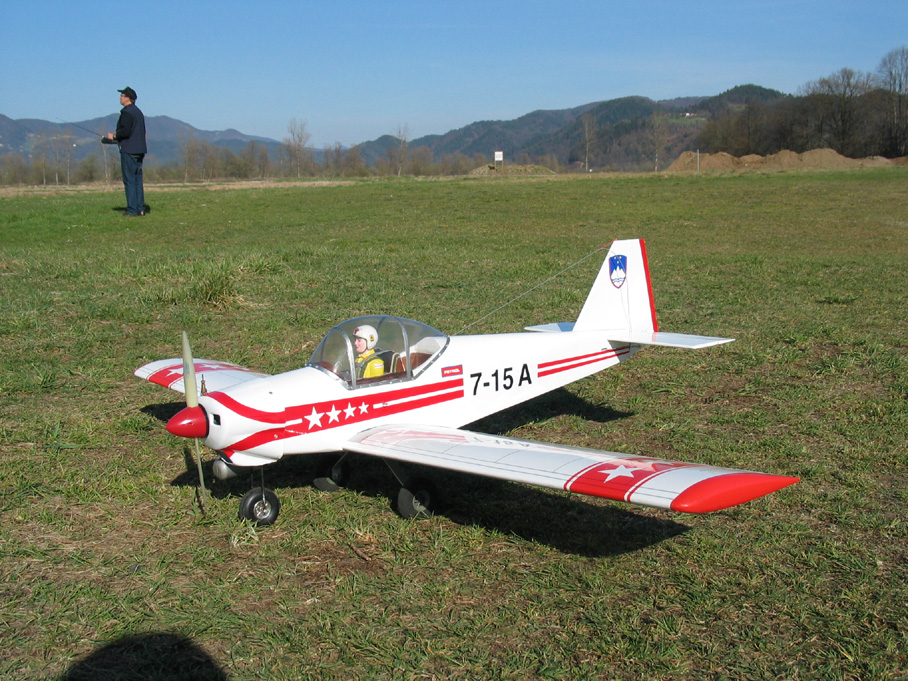 Kittiwake0020