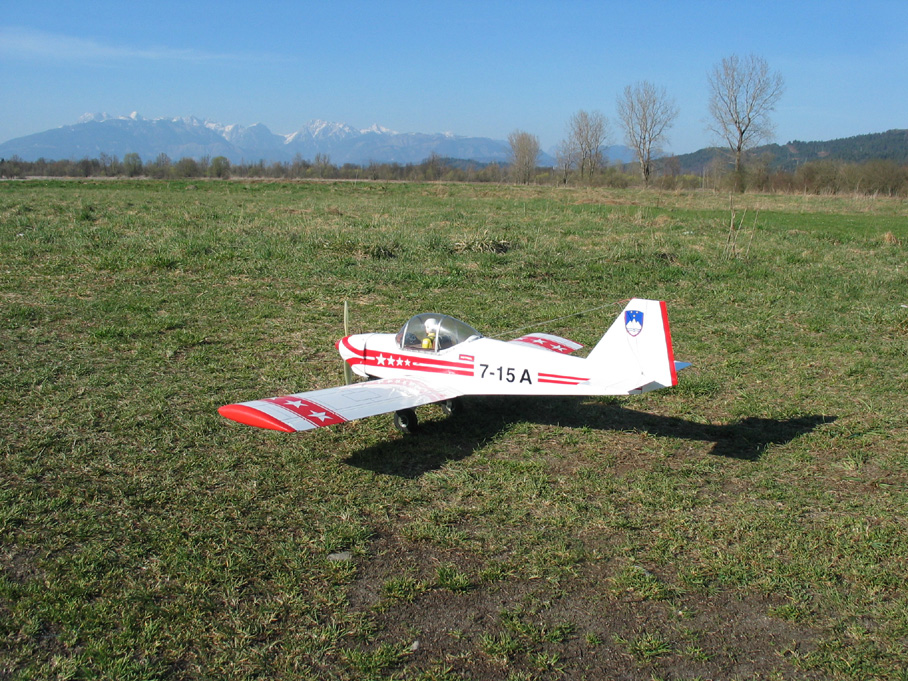 Kittiwake0021