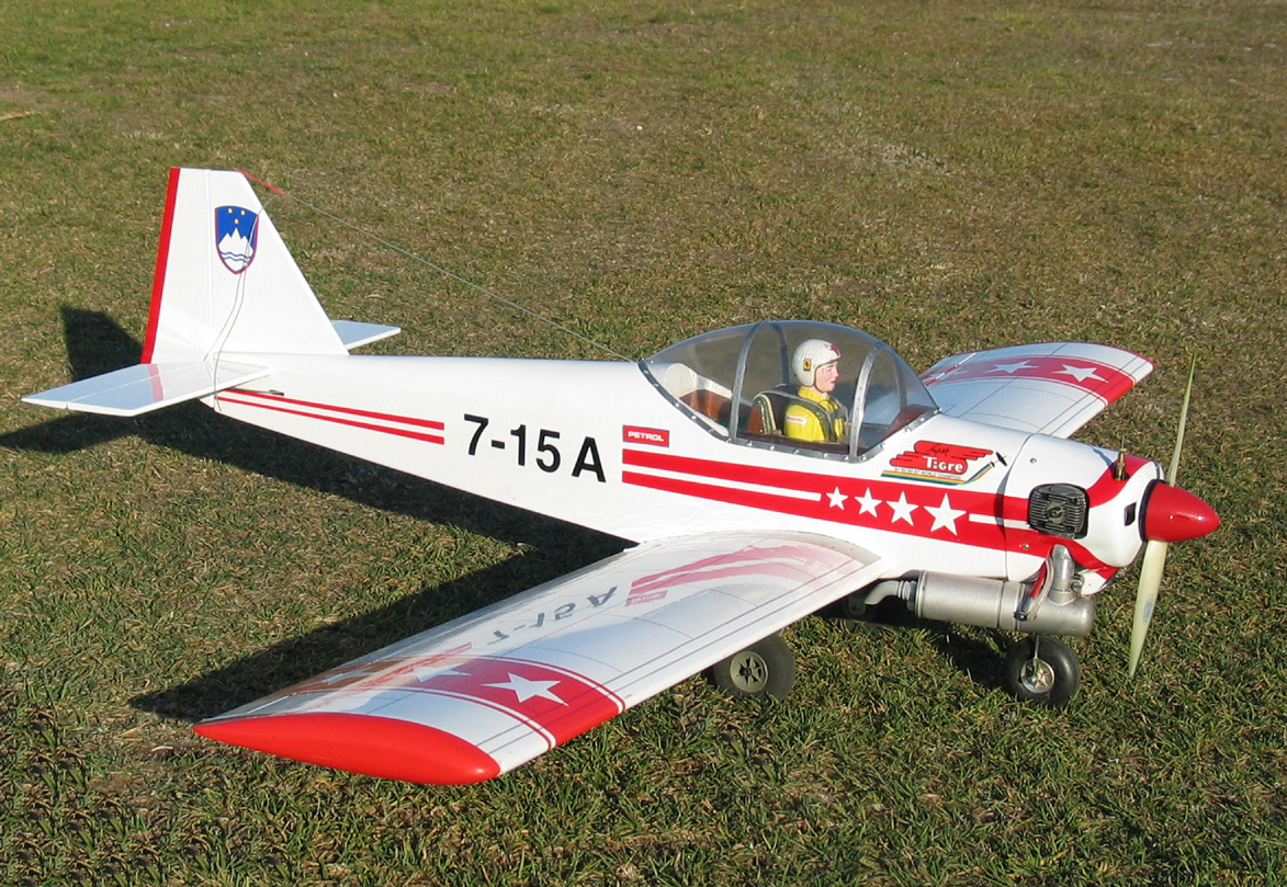 Kittiwake0024_r