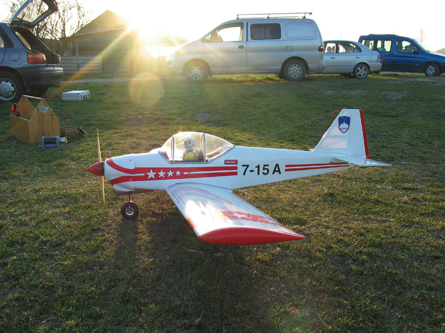 Kittiwake0027
