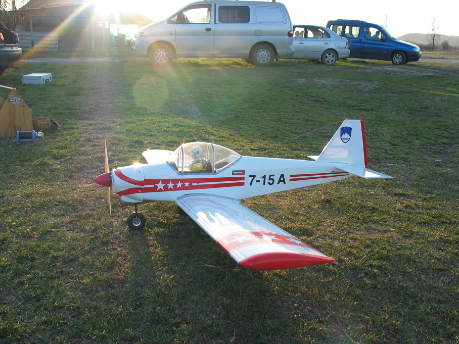 Kittiwake0028