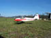 Kittiwake0017