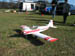 Kittiwake0018