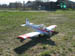 Kittiwake0019