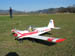 Kittiwake0020
