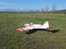 Kittiwake0021