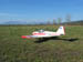 Kittiwake0022