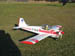 Kittiwake0024