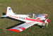 Kittiwake0024_r