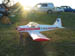Kittiwake0027