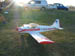 Kittiwake0028