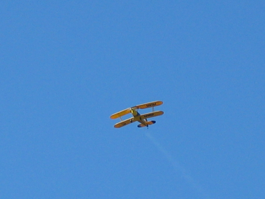 lijak0022