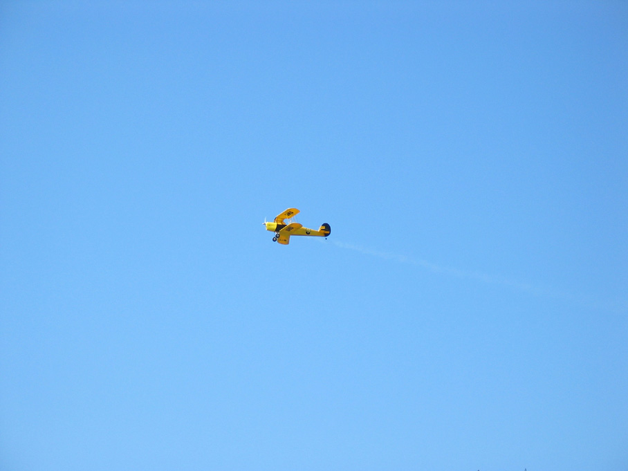 lijak0026