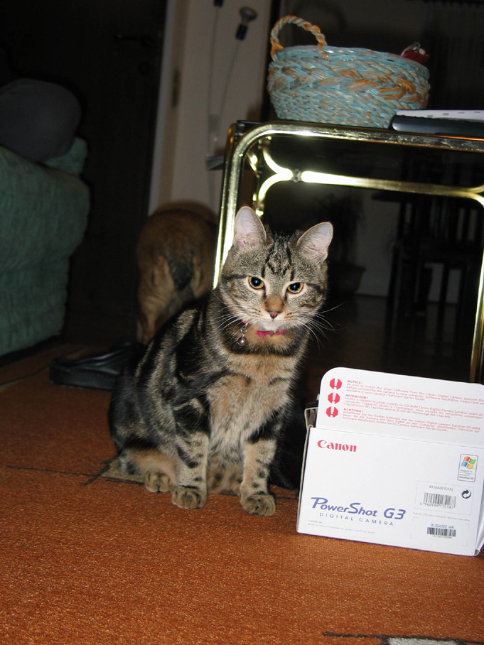 test0007_r1