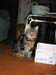 test0007_r1