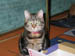 test0008