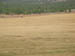 test0066