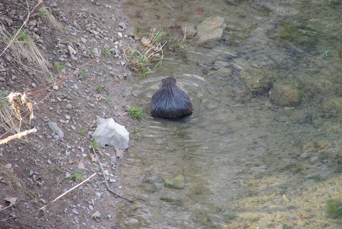 IMGP1563