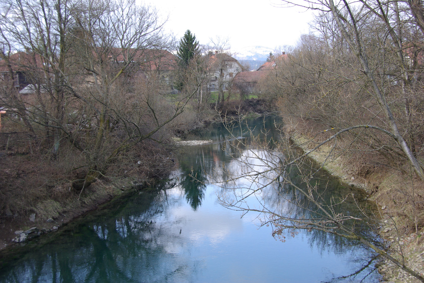 IMGP1570