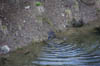 IMGP1567