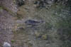 IMGP1571